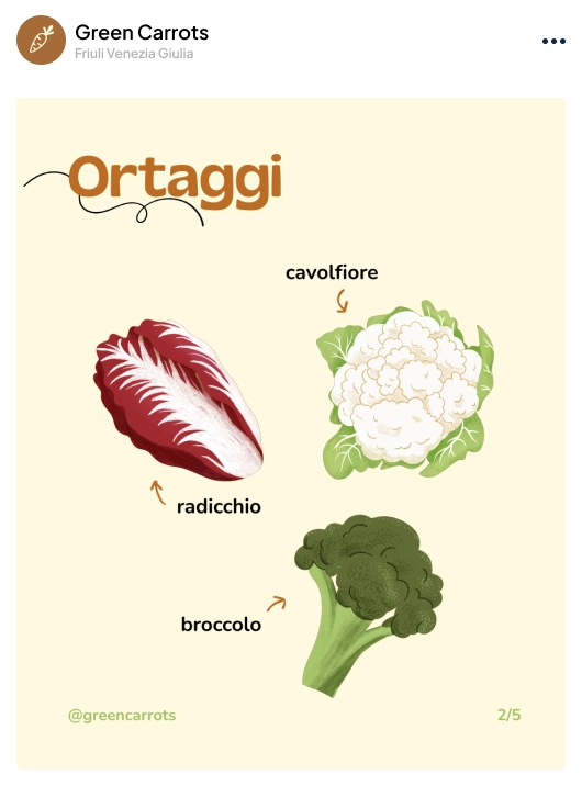 Infografica per il carosello “Calendario botanico di dicembre” di Green Carrots con illustrazioni di un broccolo, un cavolfiore e un radicchio.