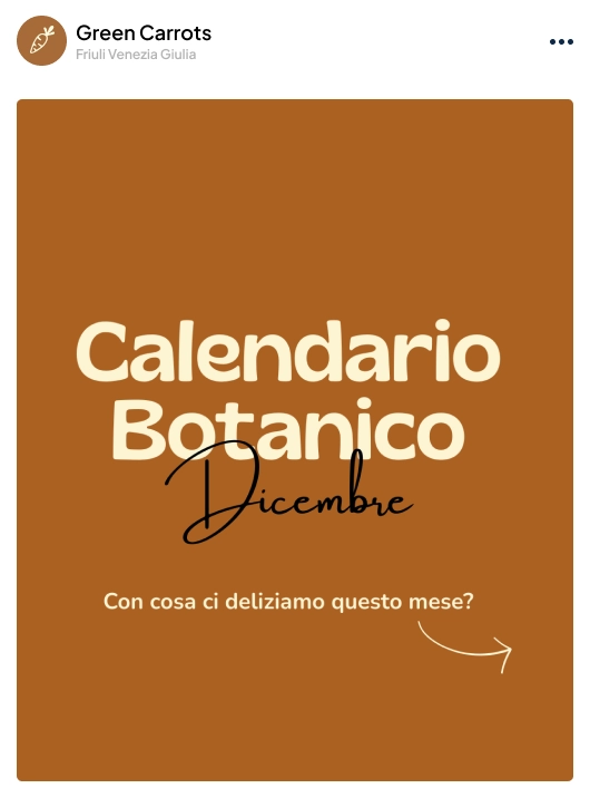 Copertina per il carosello di Instagram del “Calendario botanico” di Green Carrots sulla scoperta degli ortaggi di stagione.