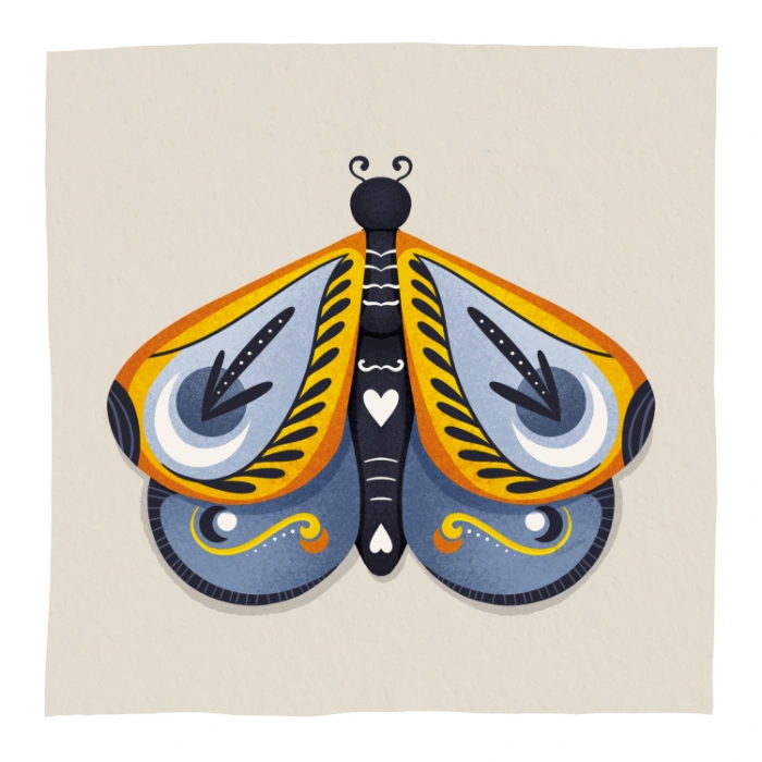 Illustrazione di farfalla colorata con ornamenti simmetrici, parte della raccolta Ripostiglio Creativo.