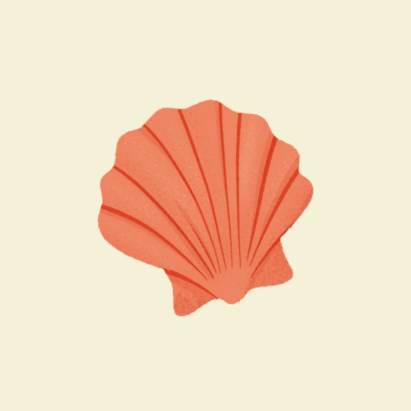 Illustrazione digitale di Marine Vibes con una conchiglia a ventaglio color corallo su fondo crema.