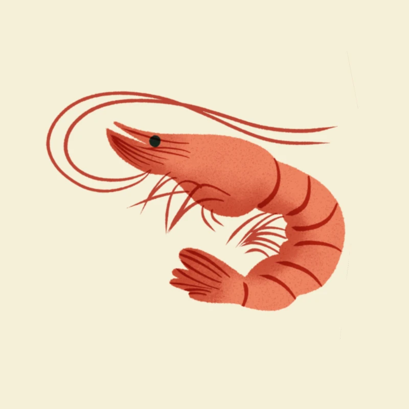 Illustrazione digitale di un gamberetto color corallo su fondo crema del progetto Marine Vibes